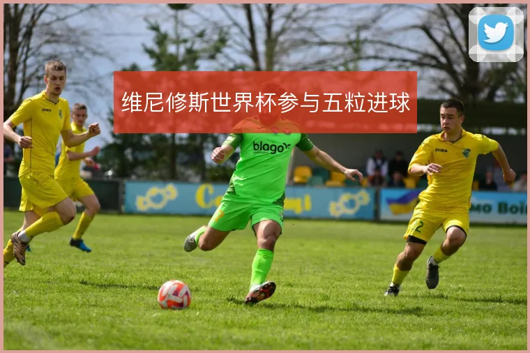 维尼修斯世界杯参与五粒进球