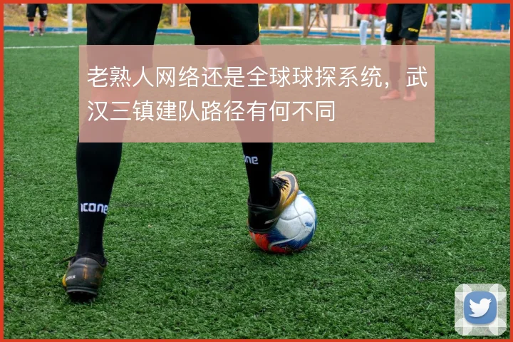 老熟人网络还是全球球探系统,武汉三镇建队路径有何不同